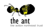 the-ant-2